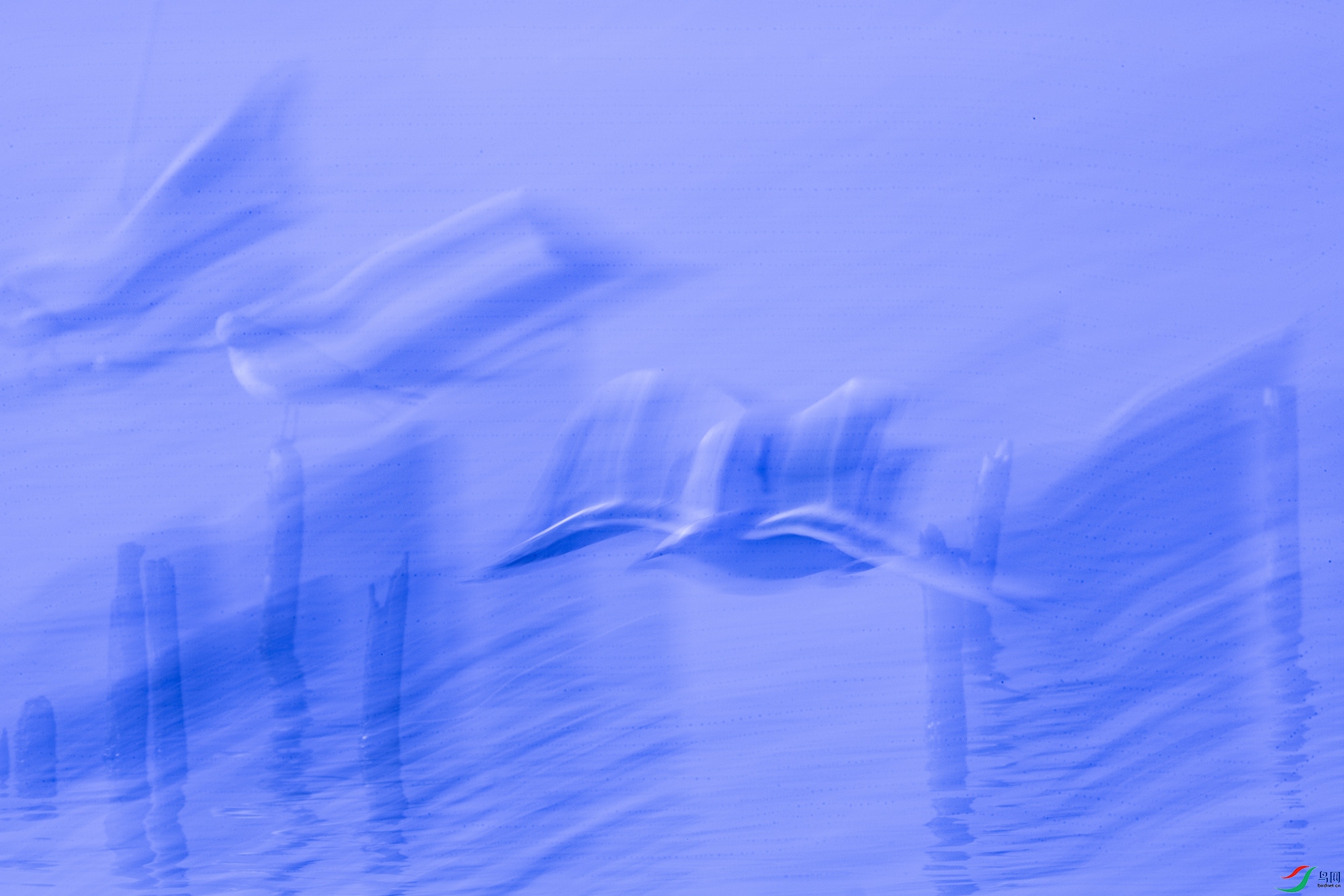 _10A1358-1(��ɫ��ϰ������.jpg