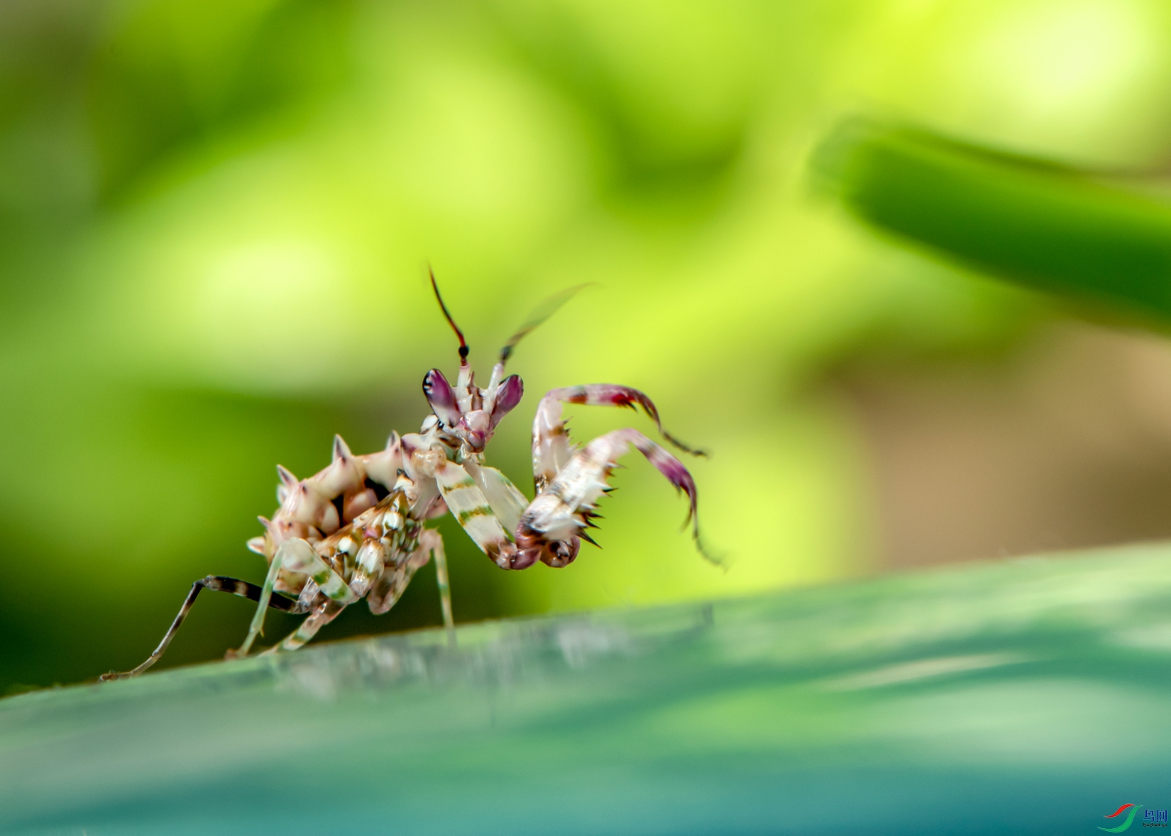 DSC_7118_����.jpg