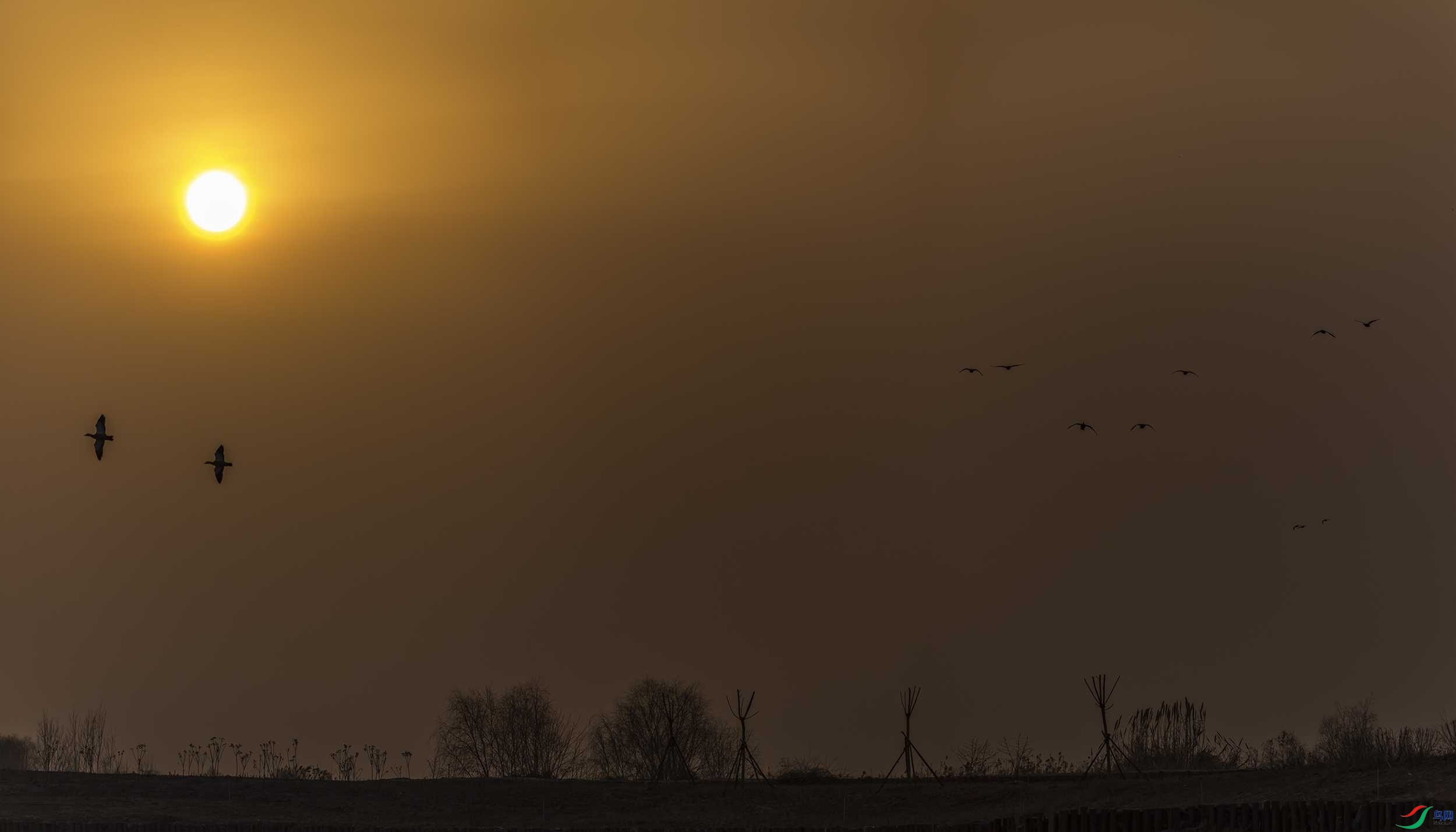 278A1482-Pano-1.jpg