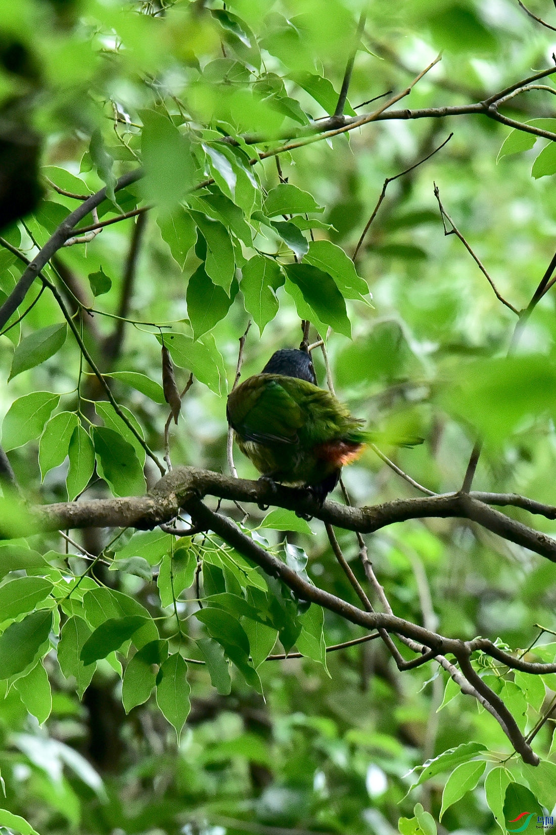 DSC_0688.JPG