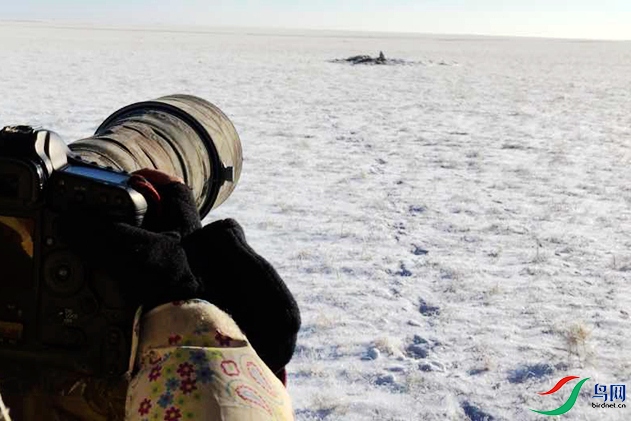 123456 047_����_����_����.jpg