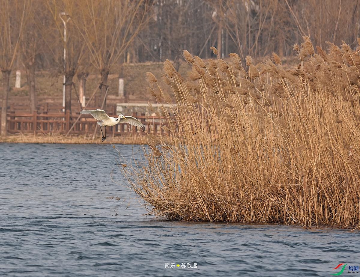 _DSC9778СС.jpg