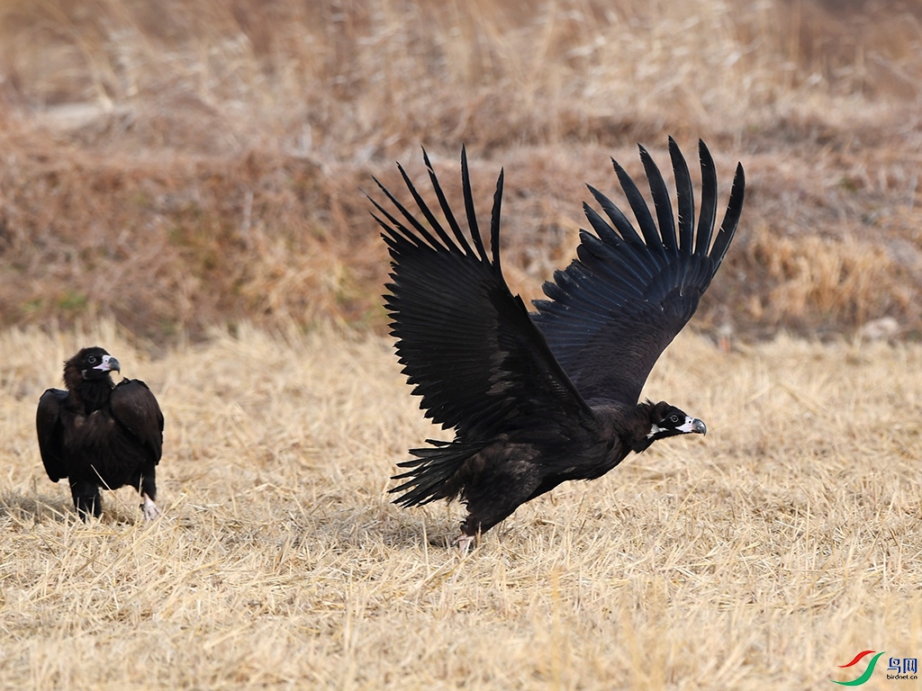 DSC_0400 - ����.JPG