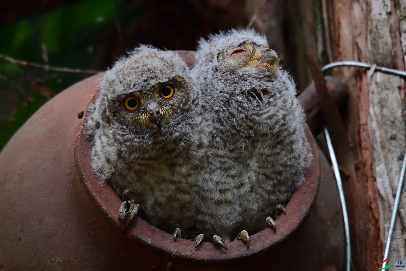 DSC_9739.jpg