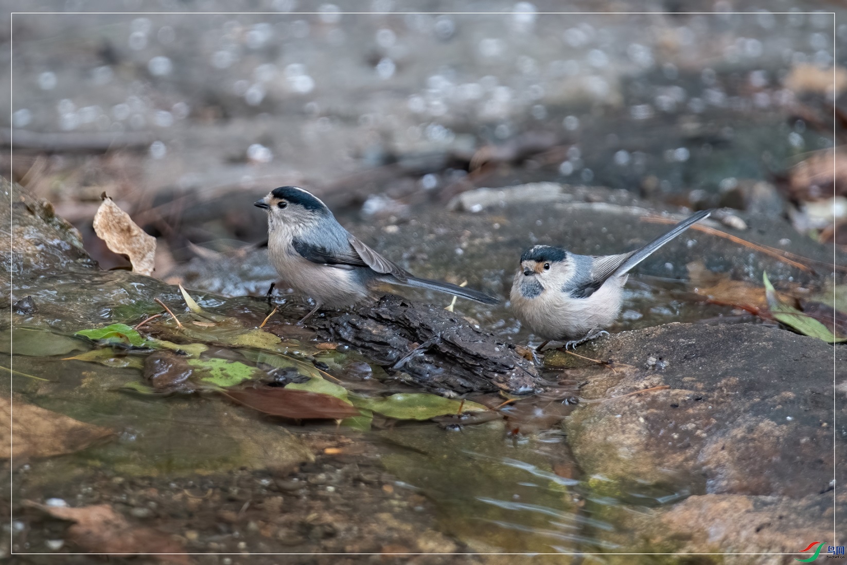 DSC_1118.jpg