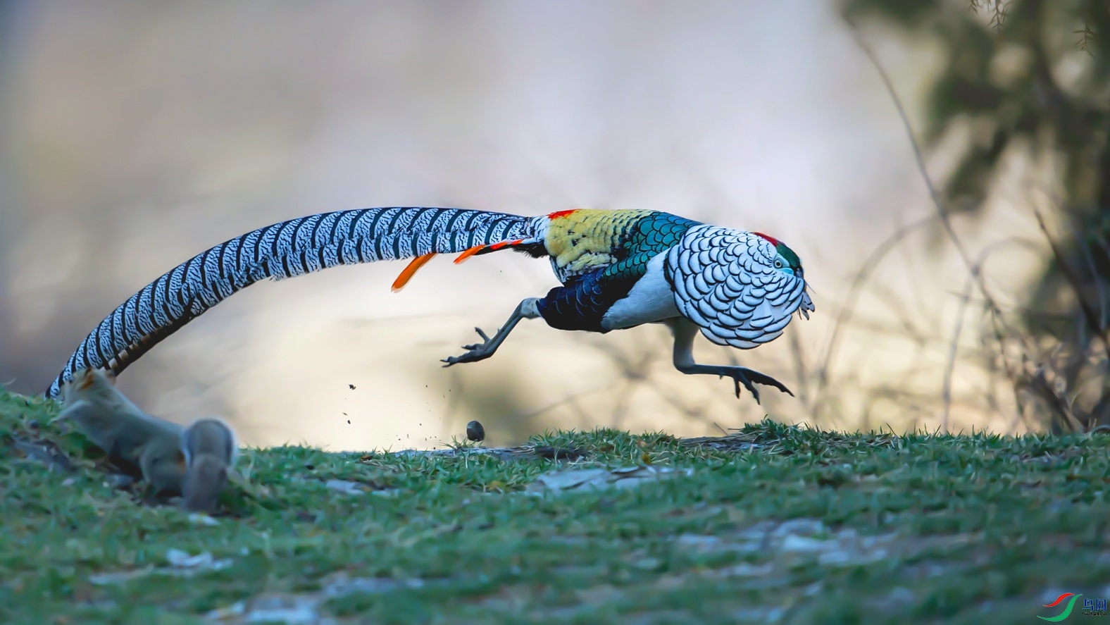 BG3O5307_1.jpg