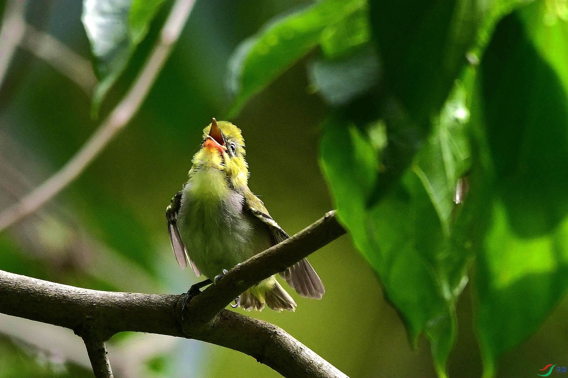 DSC_6315_����.jpg