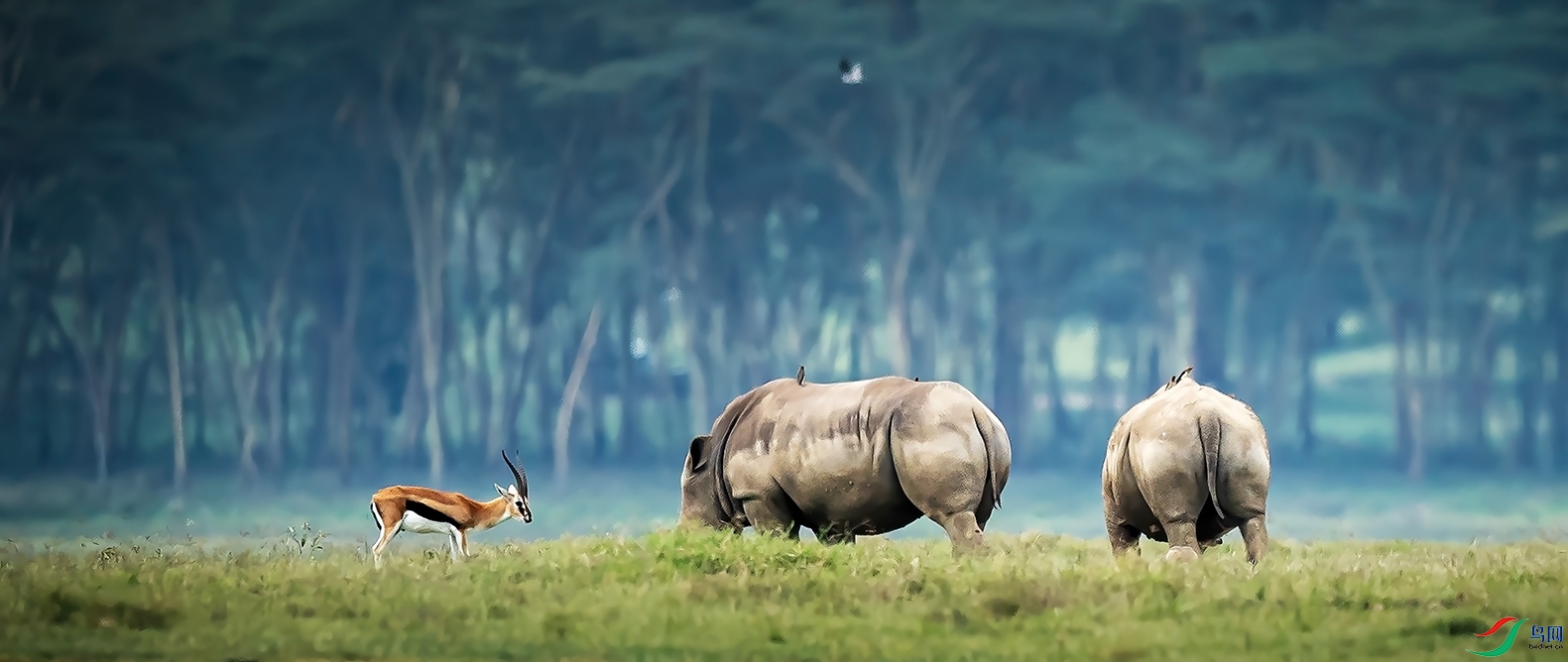 �����ڿ������ɿ�³��