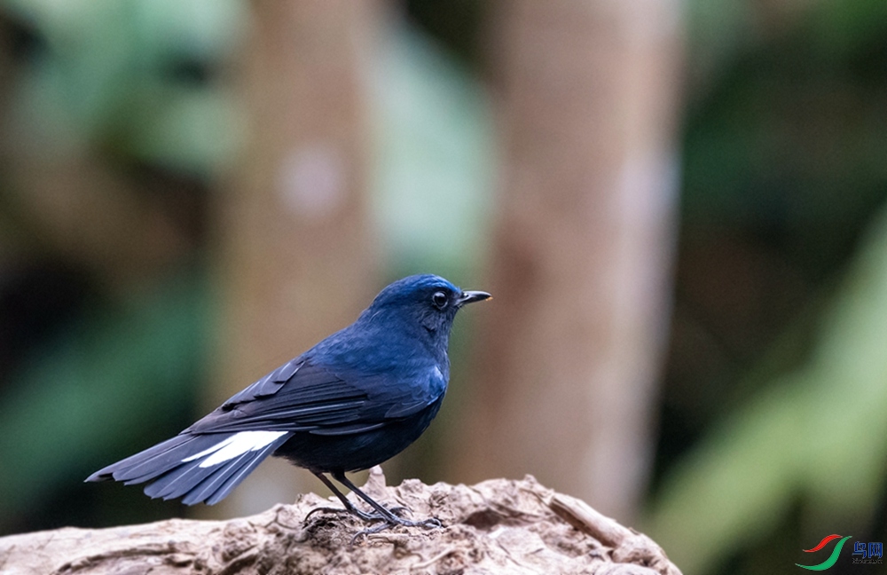 DSC_2632.jpg