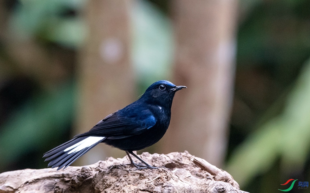 DSC_2644.jpg