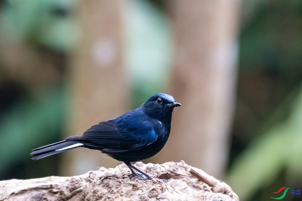 DSC_2598.jpg
