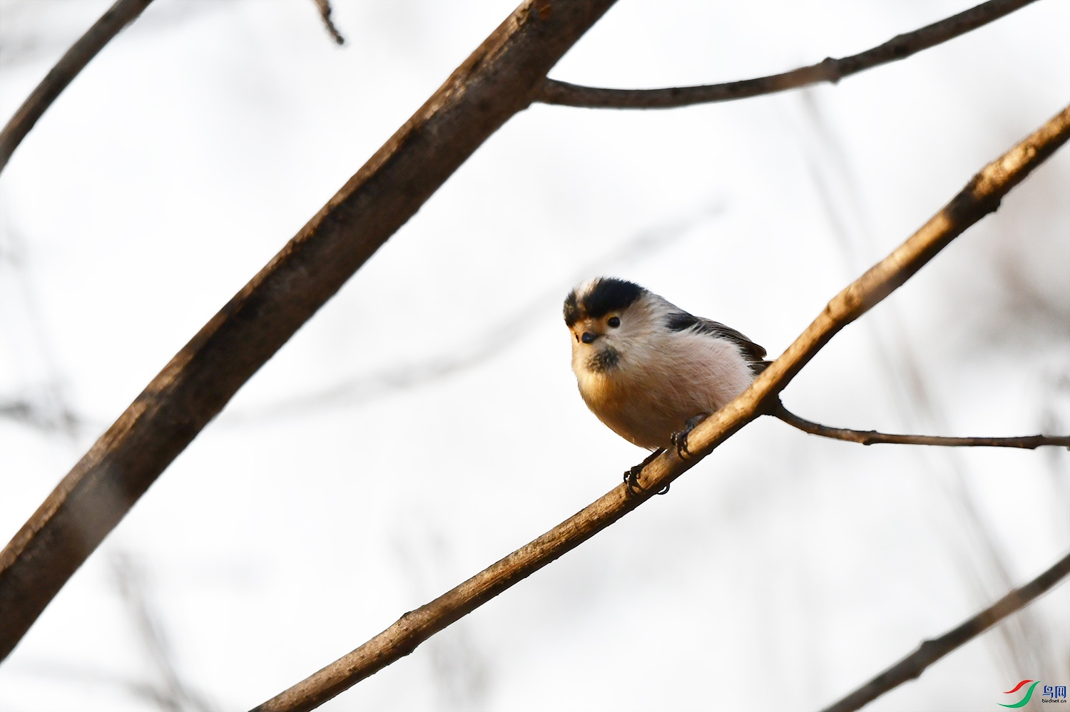 DSC_8791.jpg