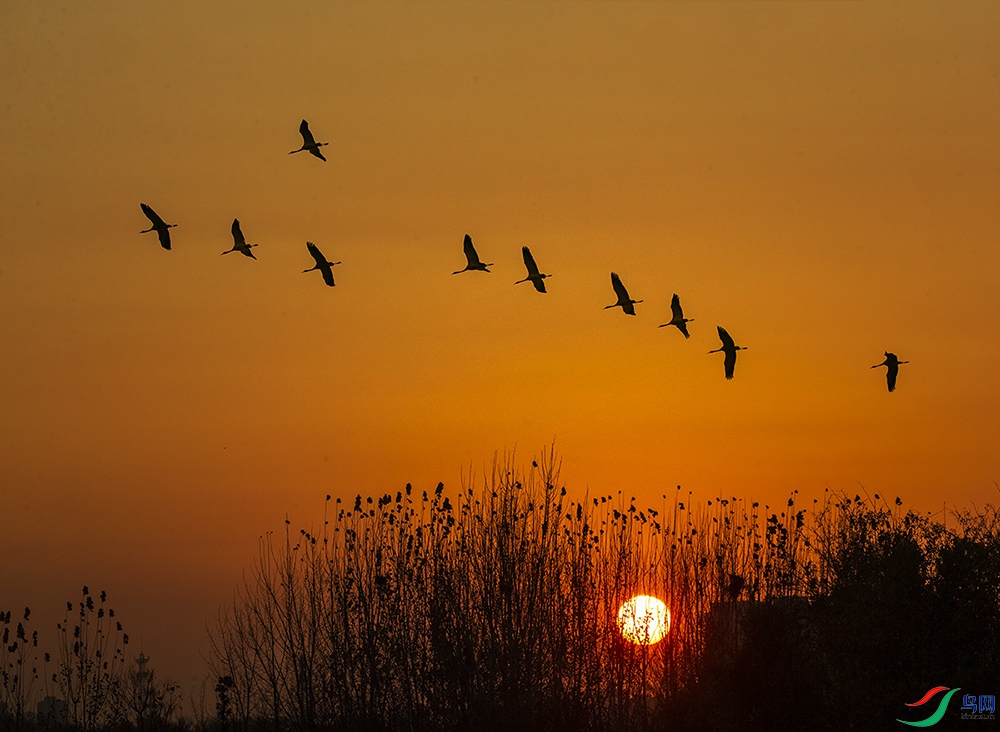 A84X5830 �Һ�.jpg