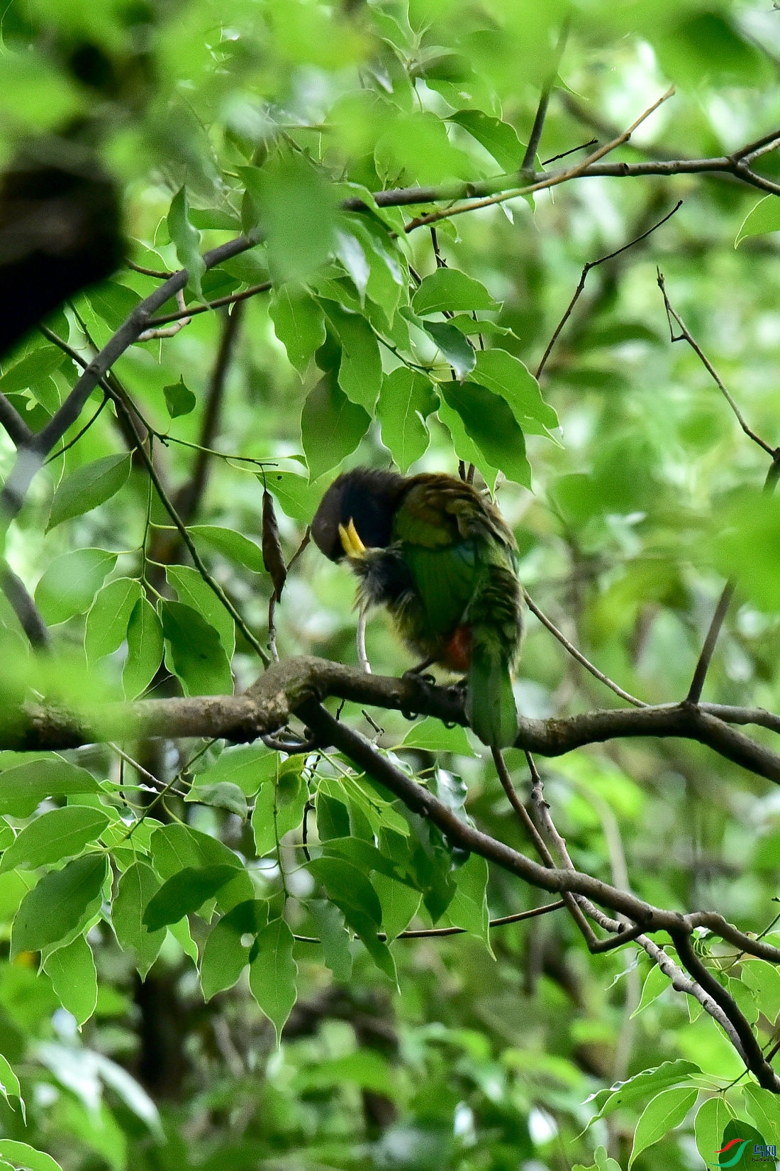 DSC_0693.JPG