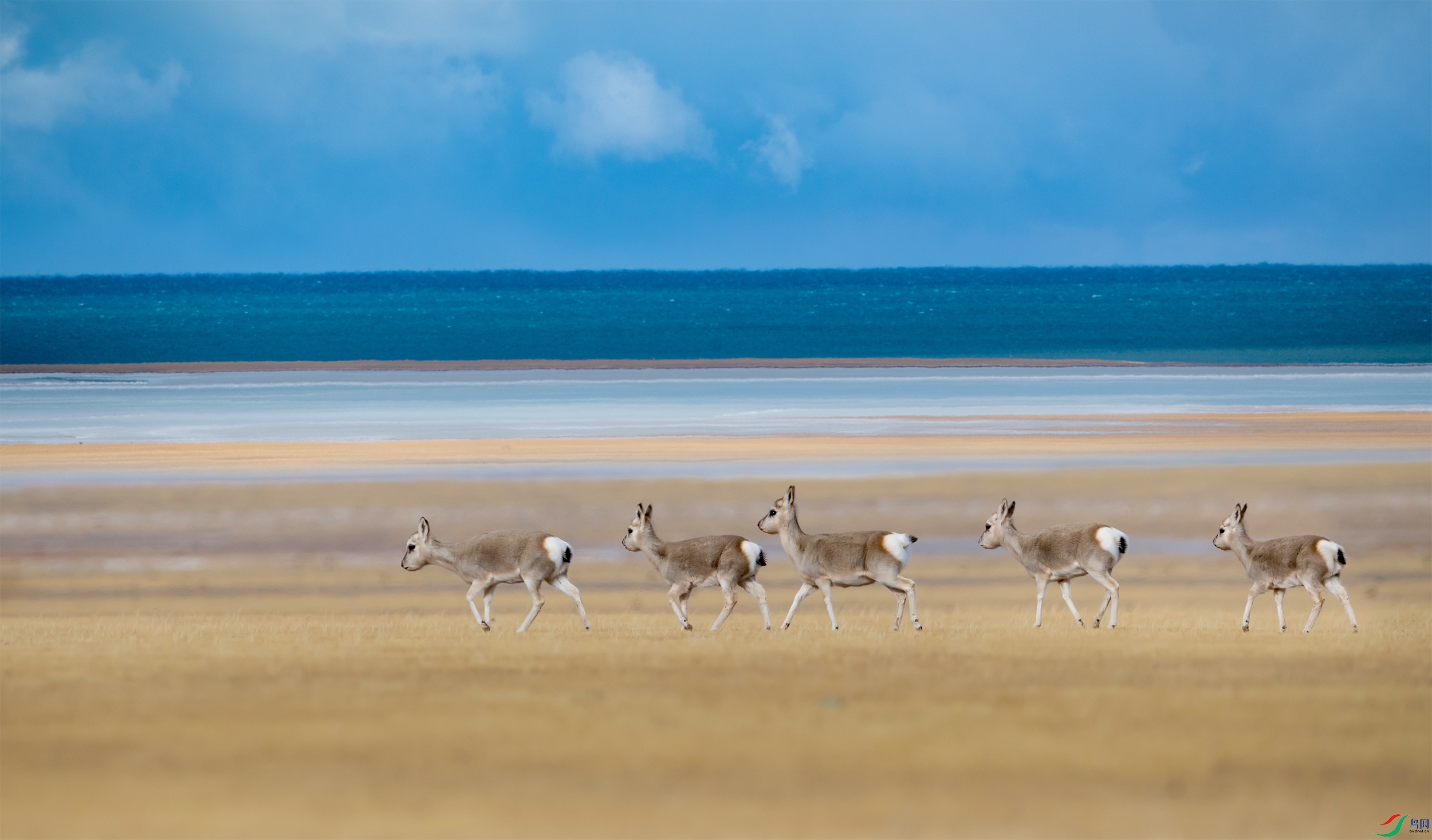DSC_6415-13.jpg
