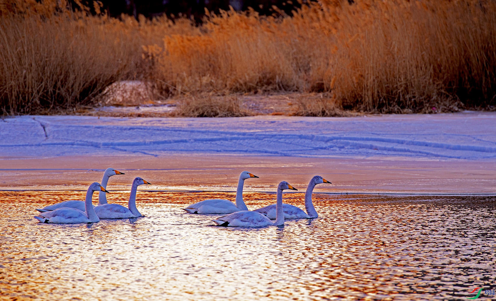 DSC_5250.jpg