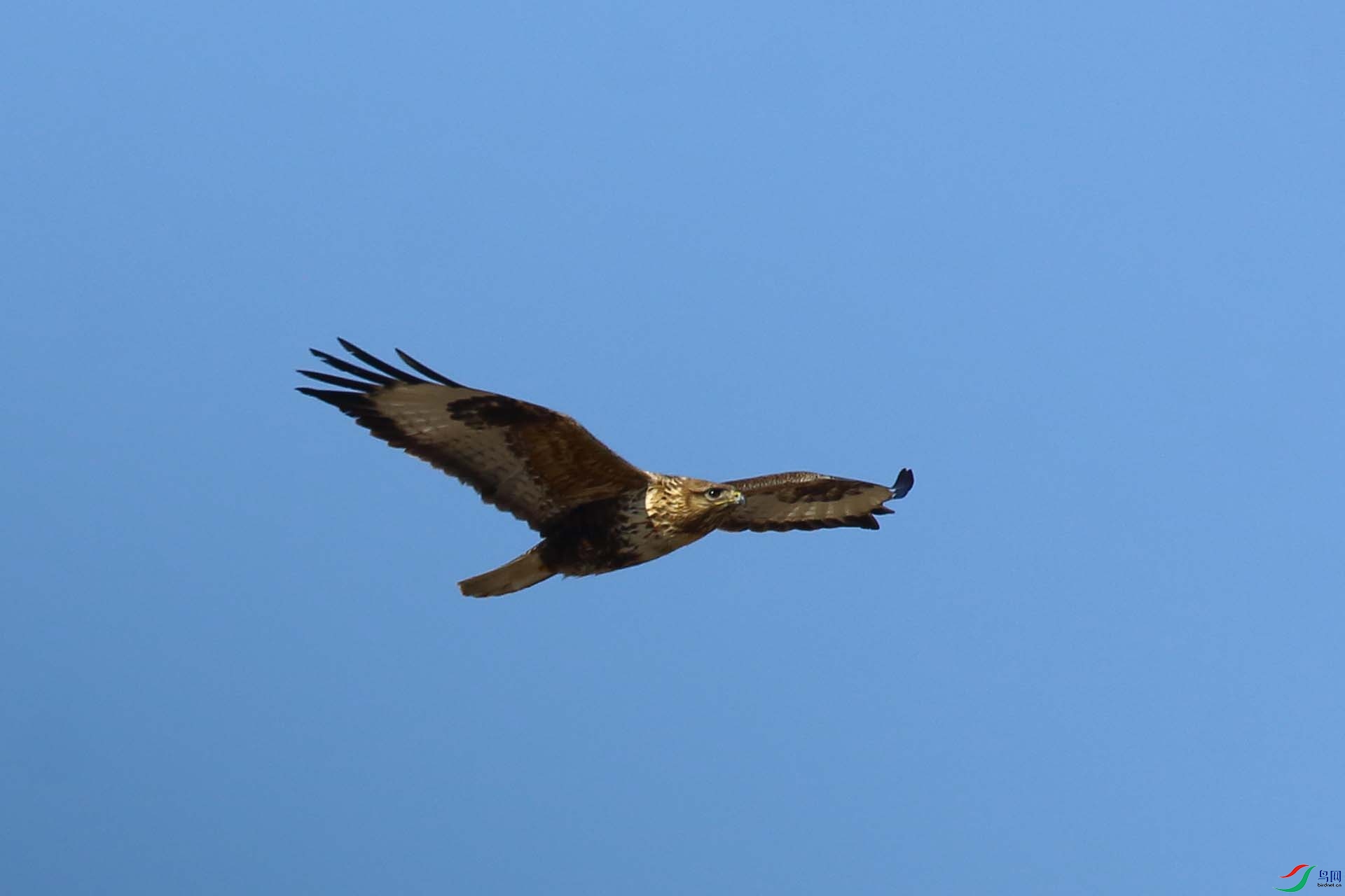 IMG_8593.JPG