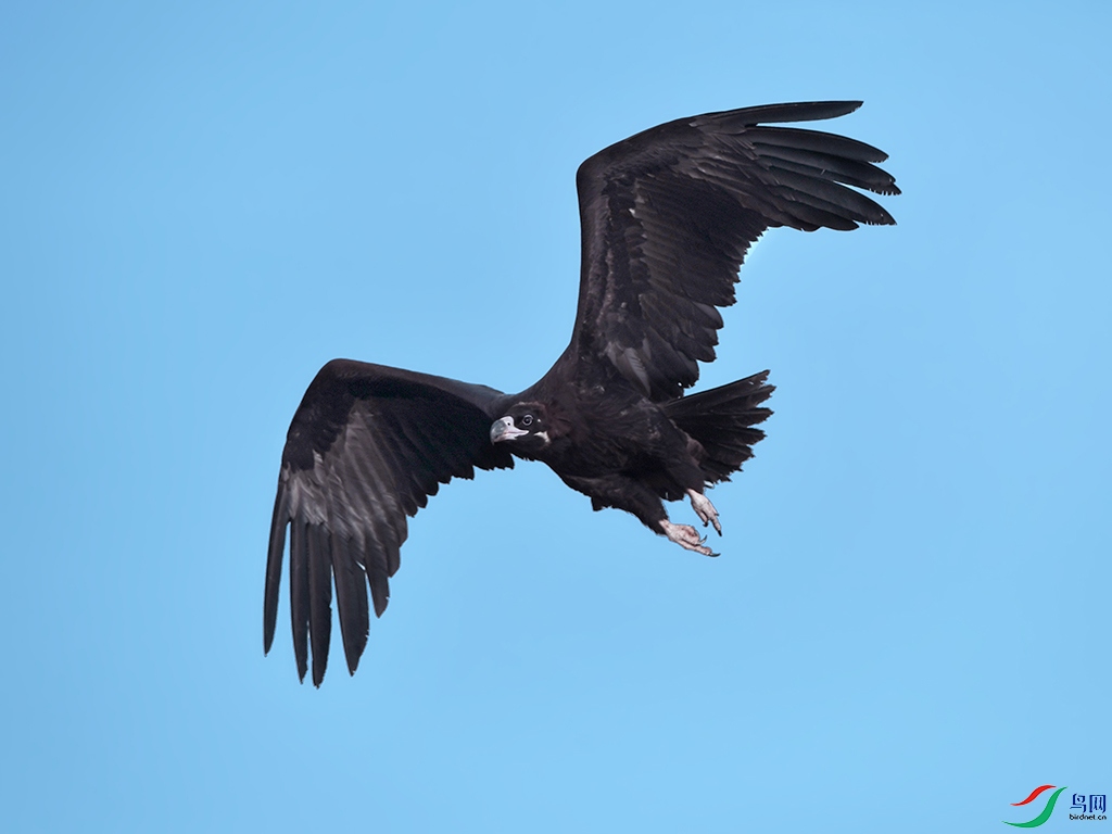 DSC_0473 - ����.JPG