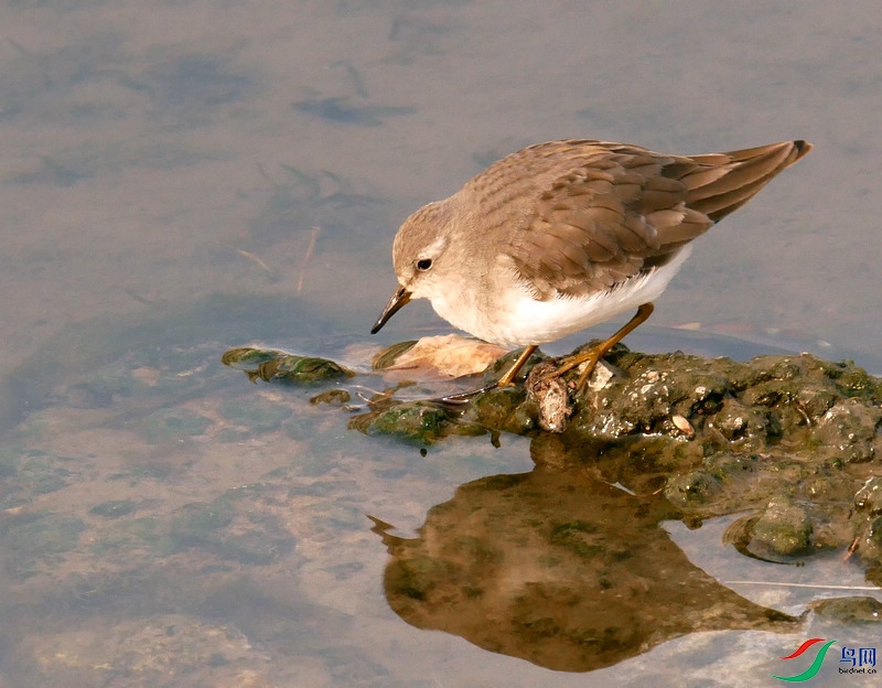 P6010567 - ����.JPG