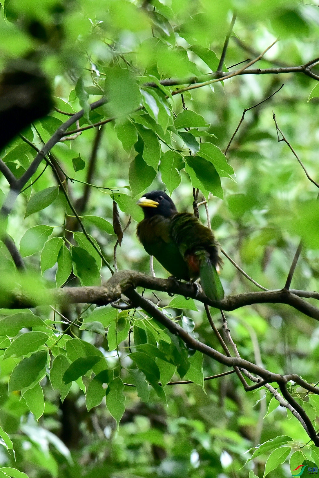 DSC_0697.JPG