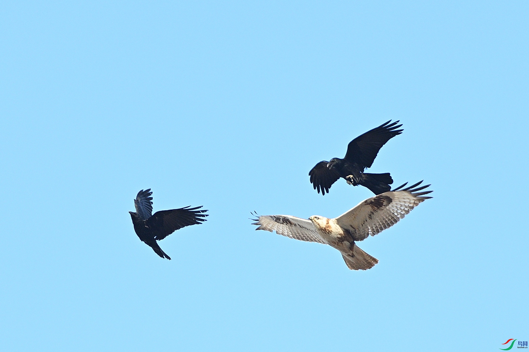 DSC_4975.JPG
