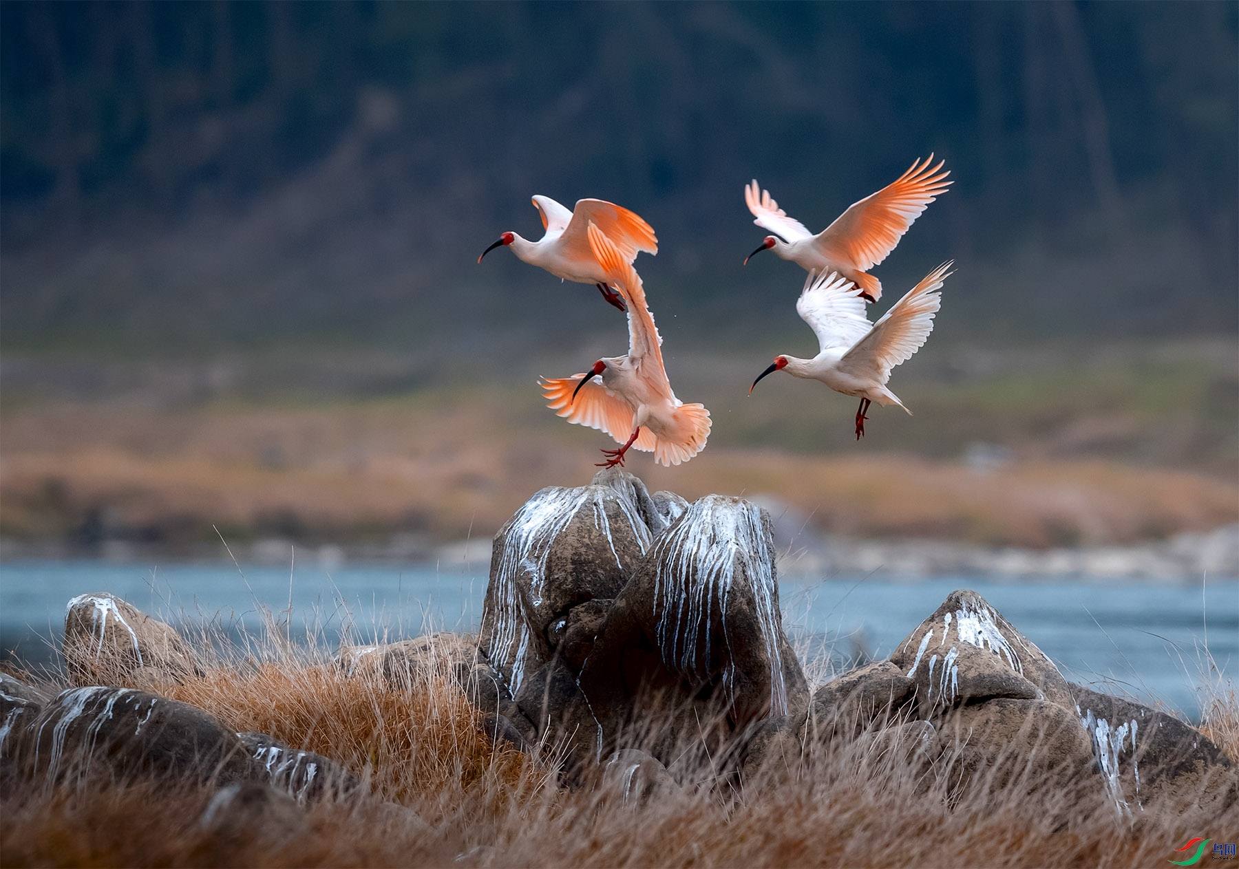 ����һ����