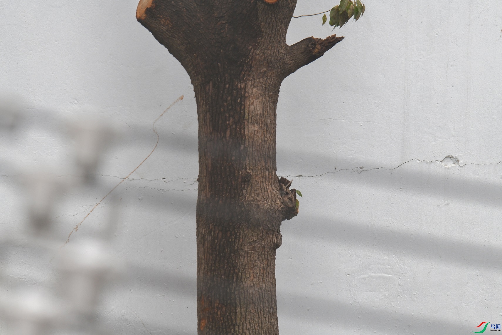 DSC_1358.jpg