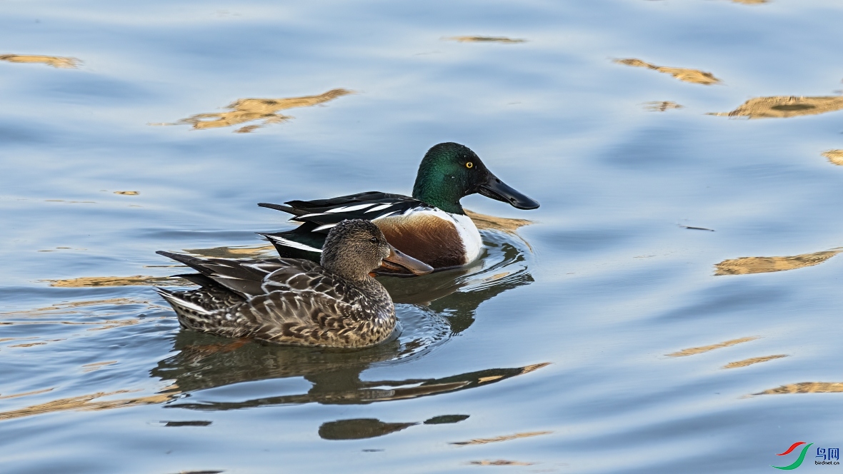 DSC_9872-1_01.JPG