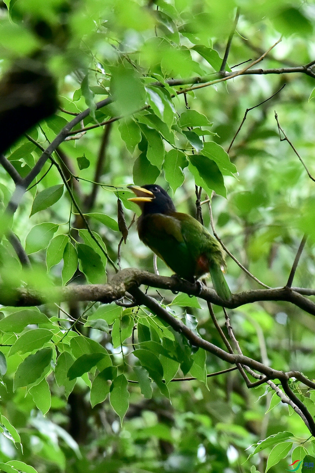 DSC_0700.JPG