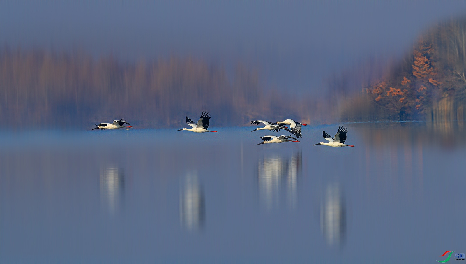6zhi����.jpg