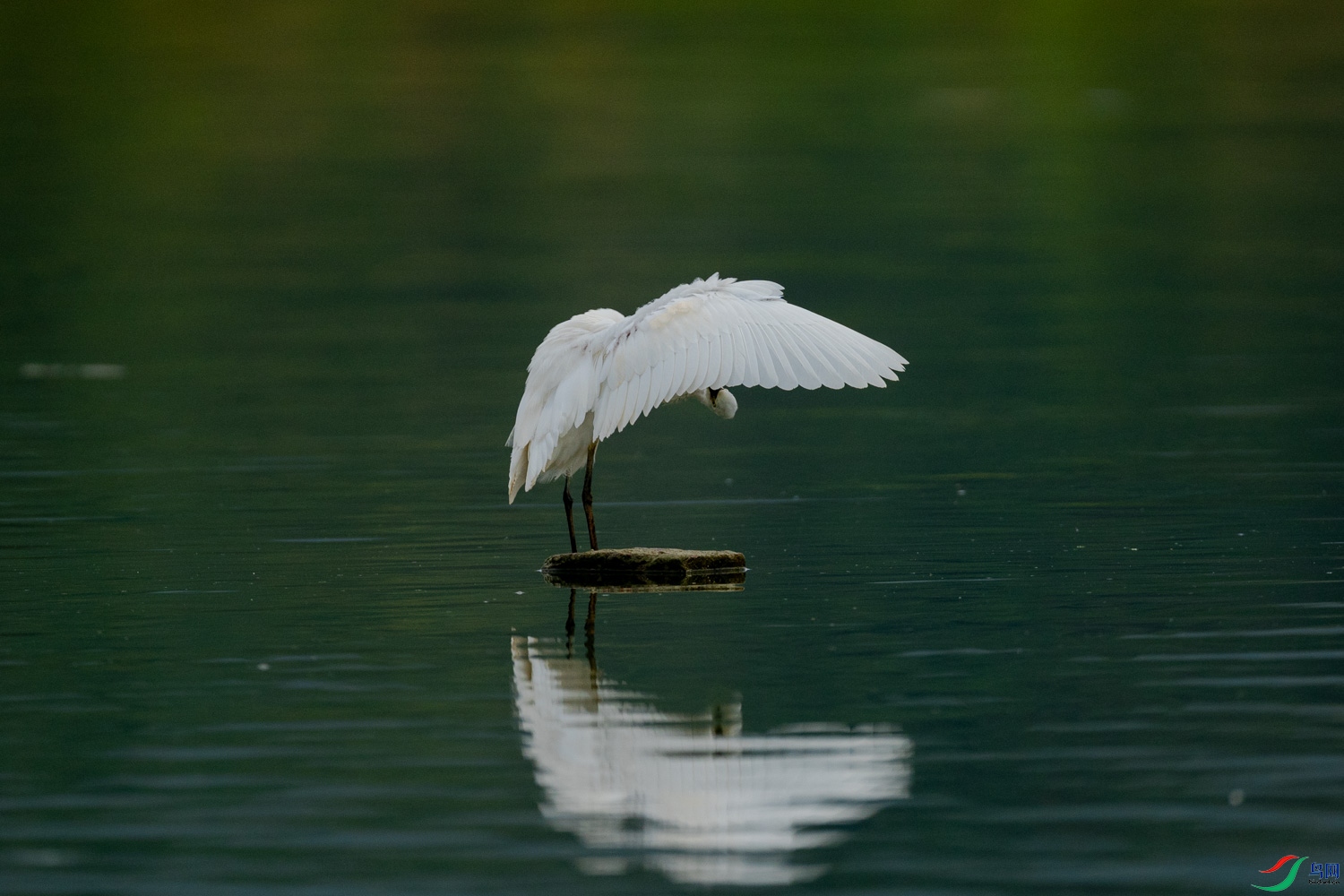20201209-DSC04857.jpg