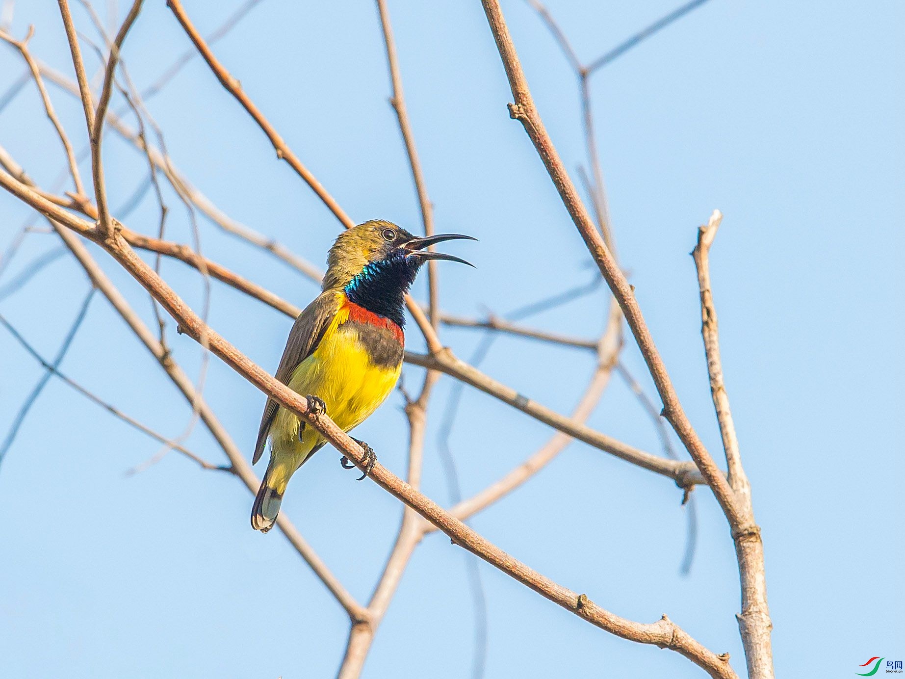 DSC_0711.jpg
