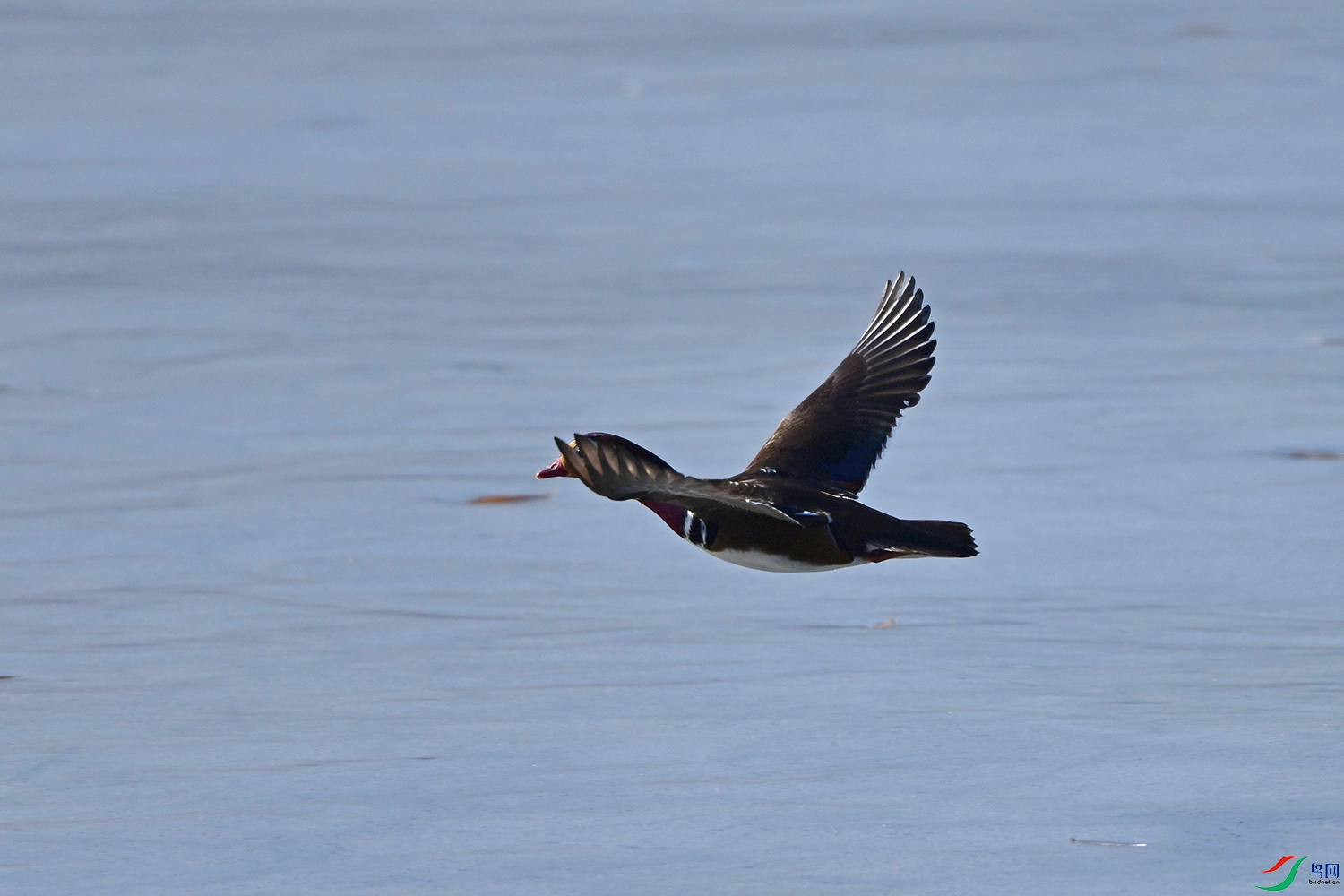 DSC_2497.jpg