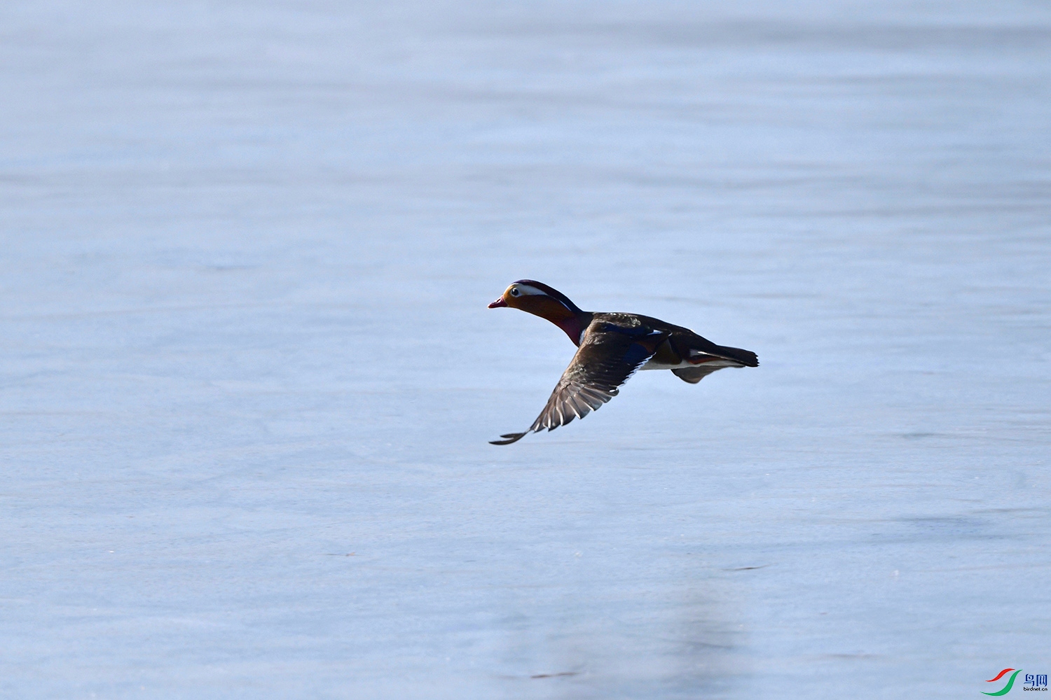 DSC_2498.jpg