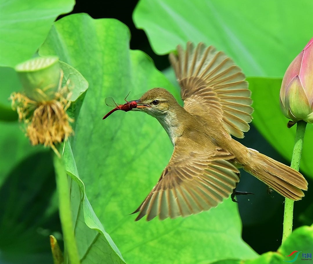 WeChat Image_20201228222949_����.jpg