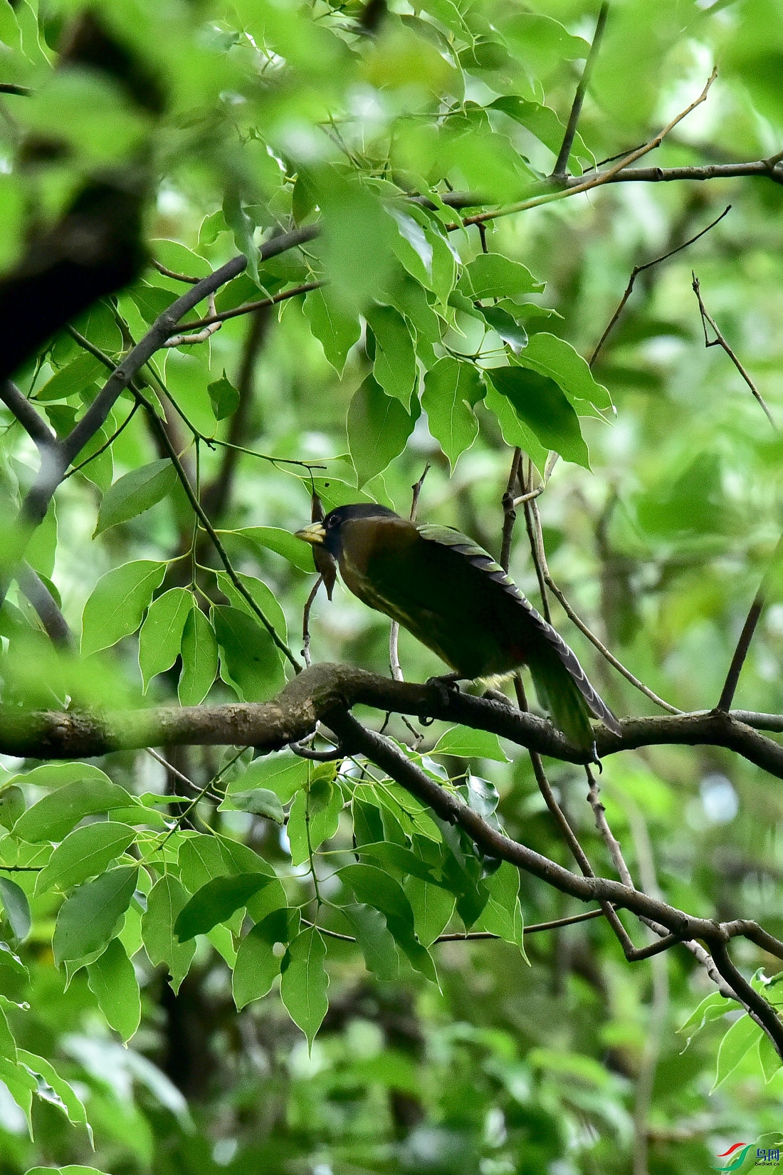 DSC_0702.JPG