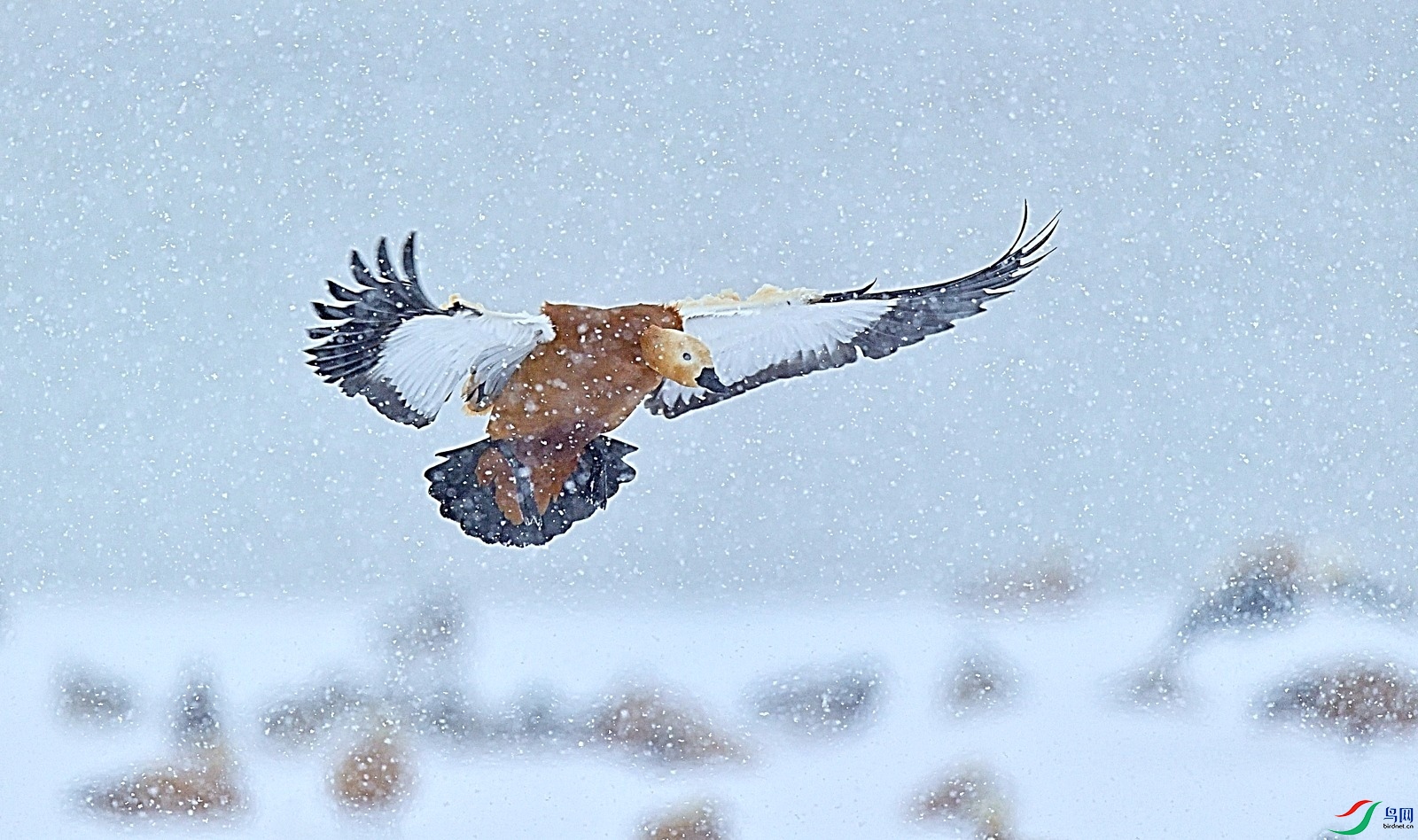 _DSC7025_00001.jpg