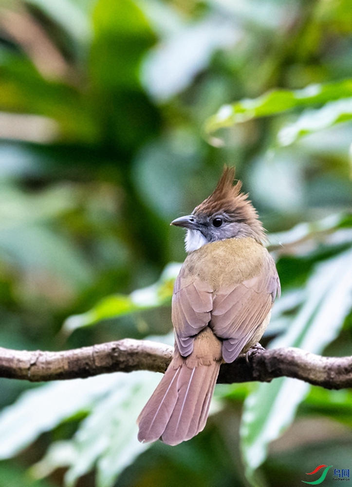 DSC_2663.jpg