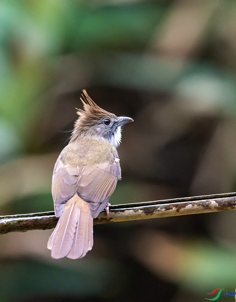 DSC_2686.jpg