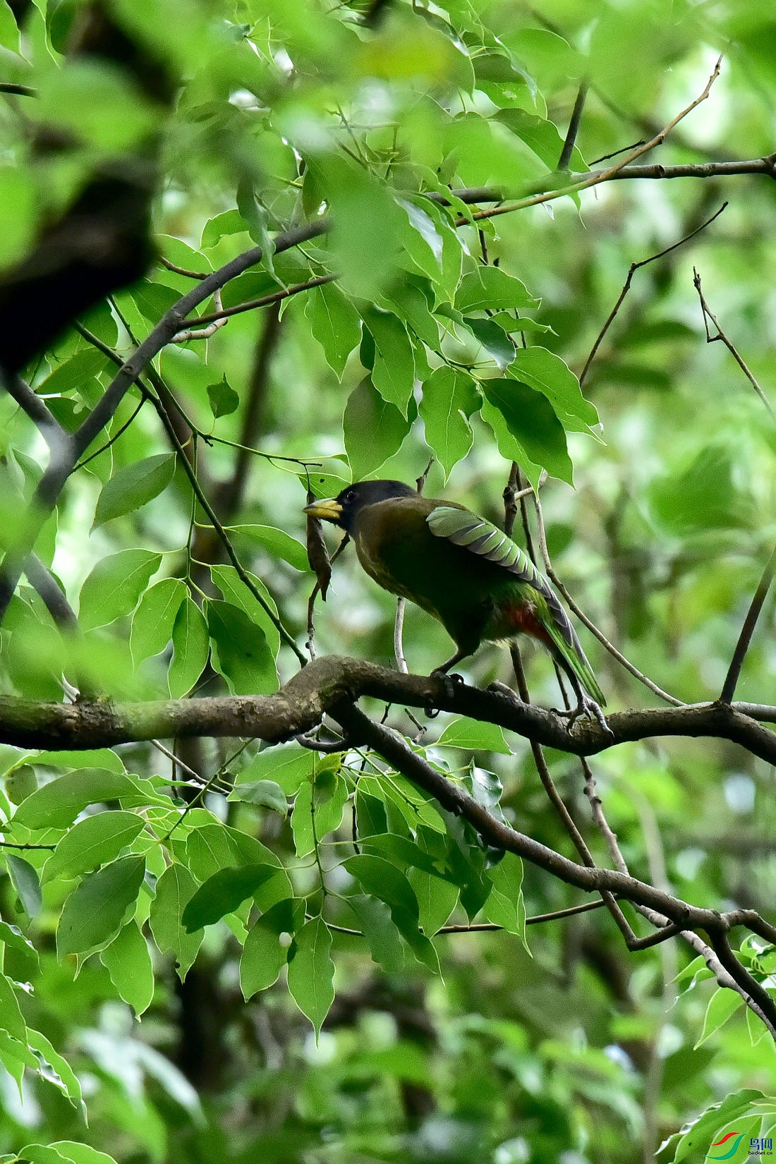 DSC_0708.JPG