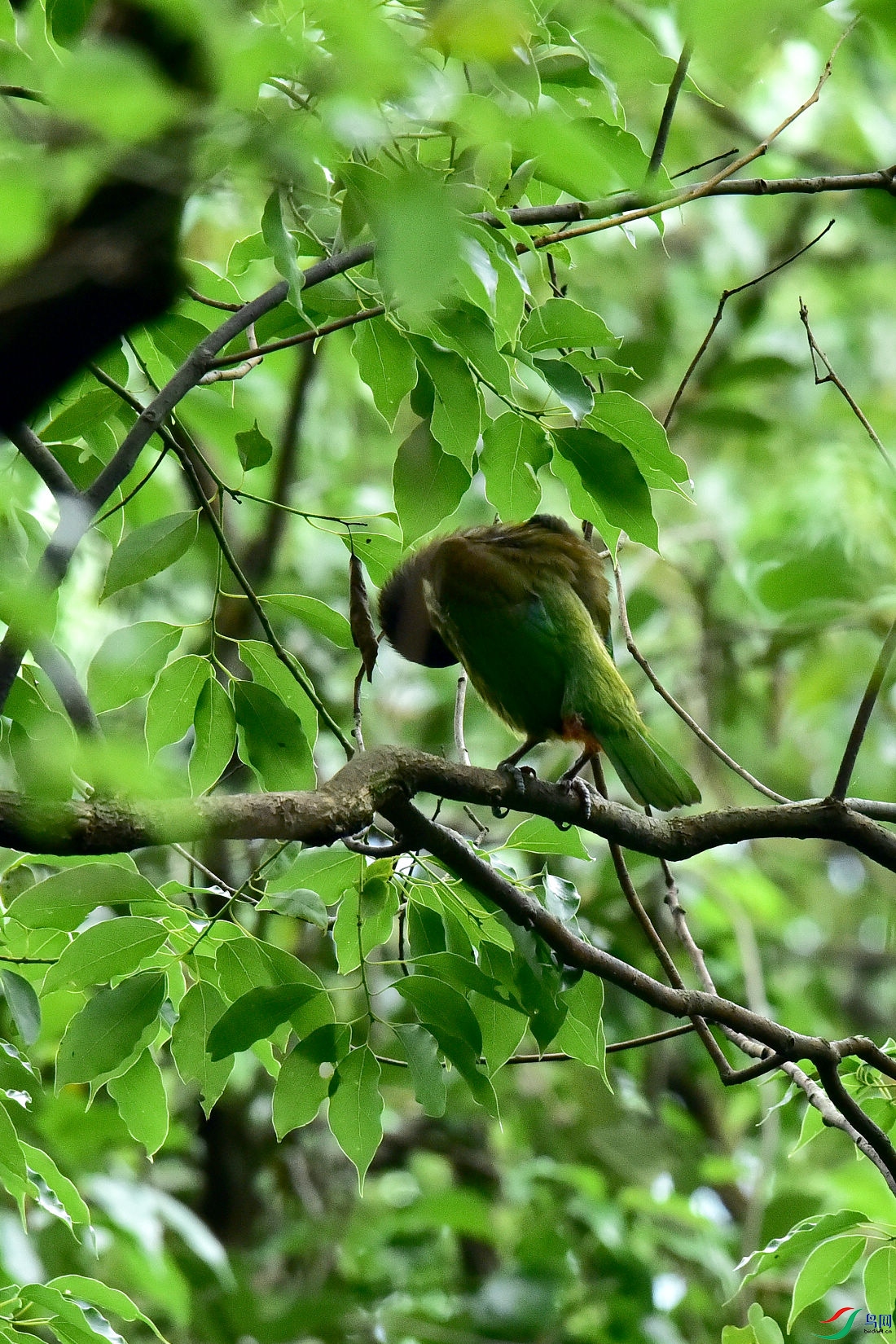 DSC_0709.JPG