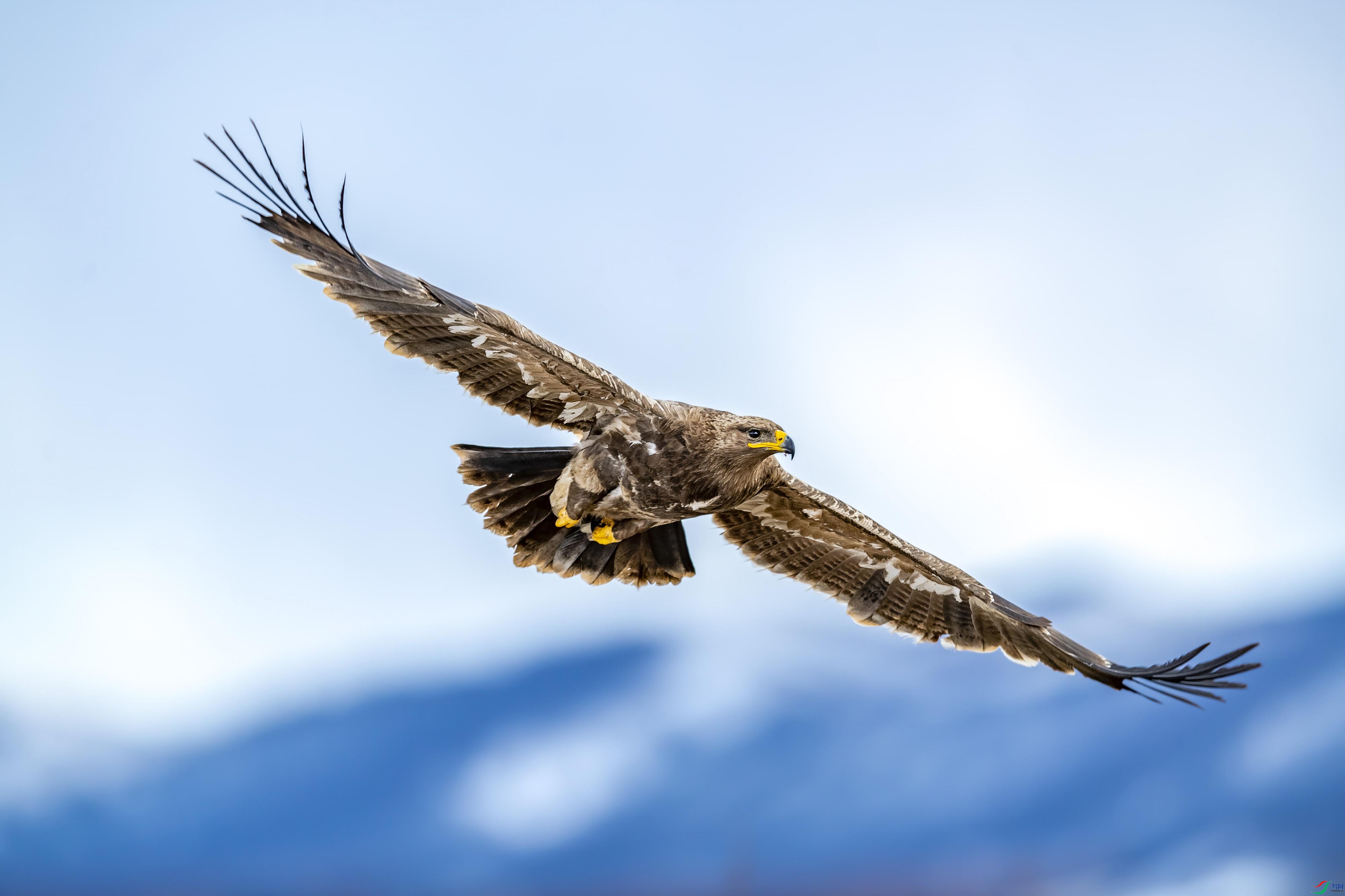 _DSC2685_2.jpg