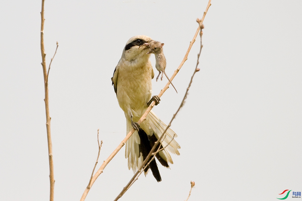 ����-Шβ���� (3).jpg