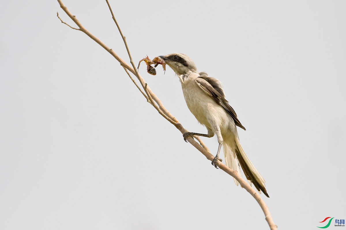 ����-Шβ���� (4).jpg