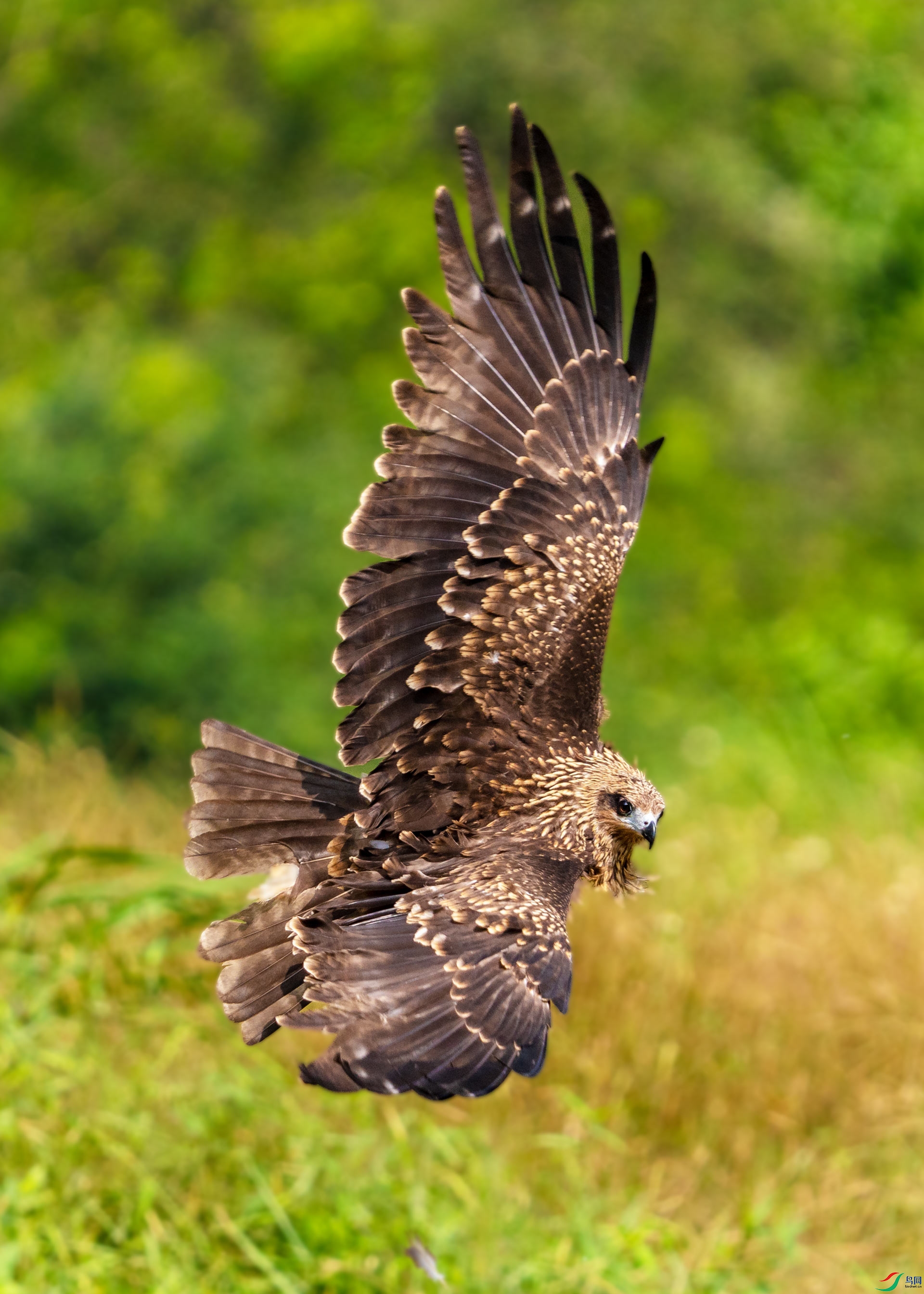 ����Ŀ��