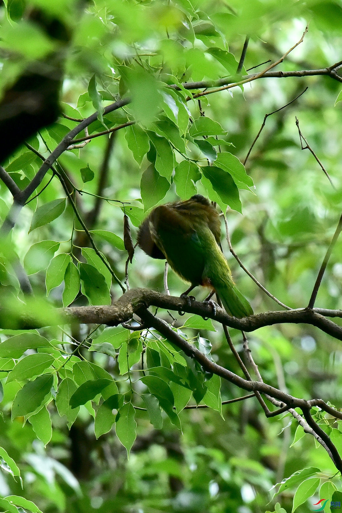 DSC_0712.JPG