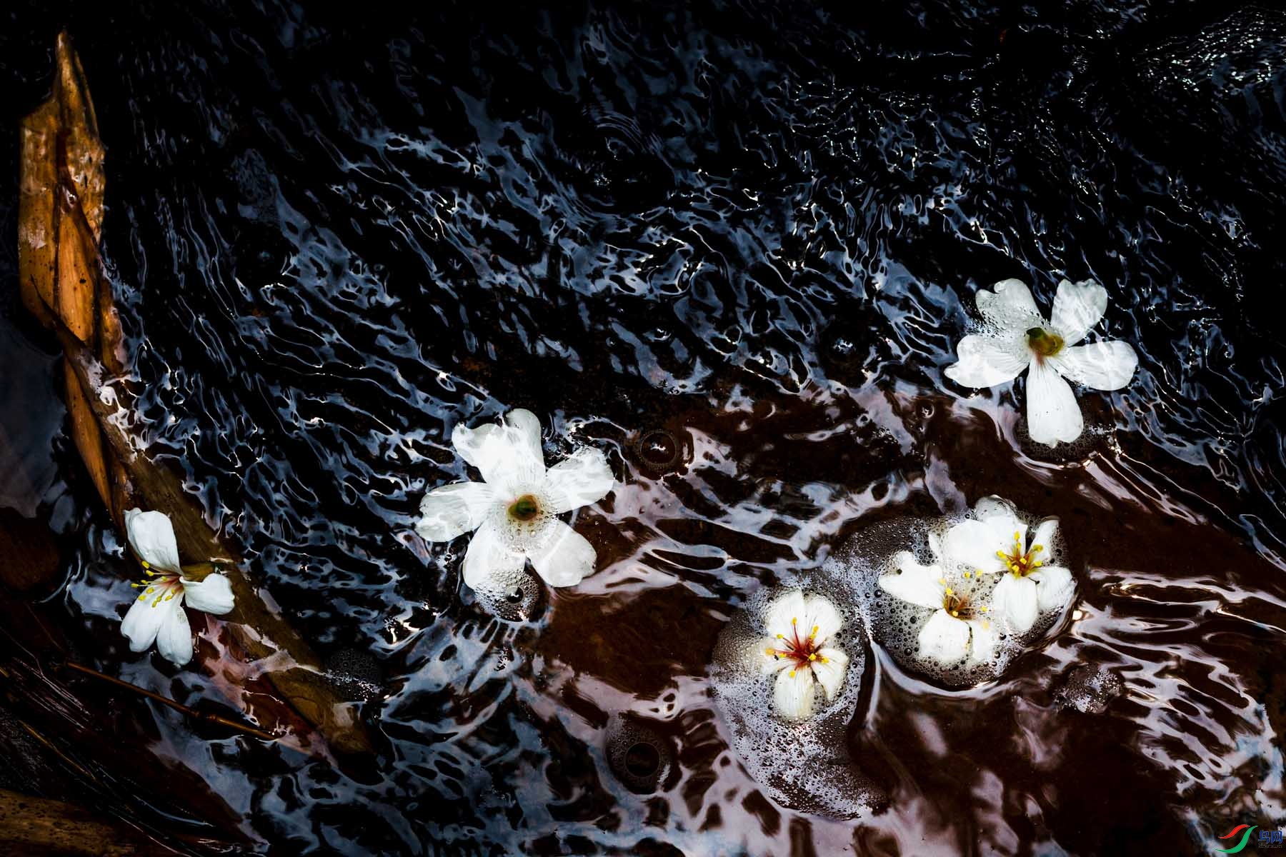 落花流水