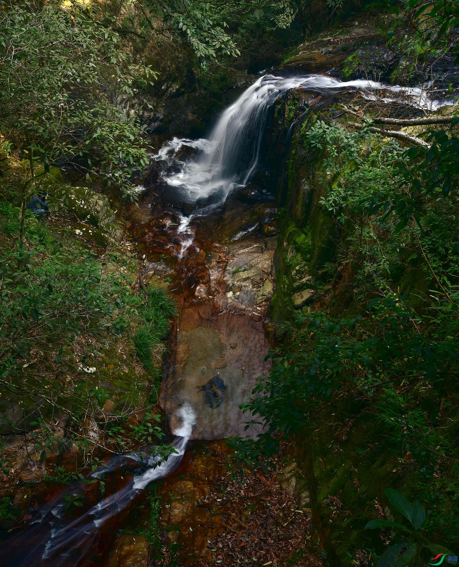 D8I_0464.jpg