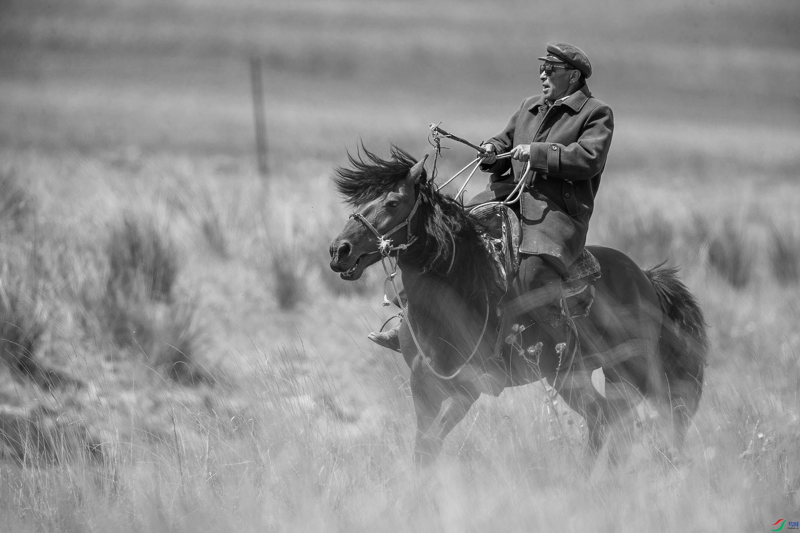 新疆哈萨克族牧人