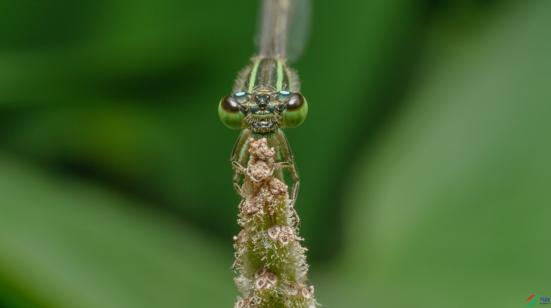 δ����-06223.jpg